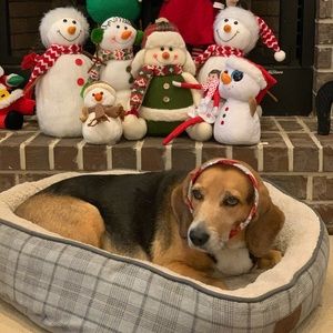 Meet your Posher, Brandi